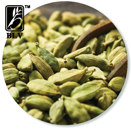 Cardamom / Elachi