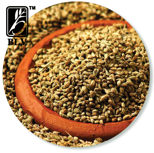 carom seed / ajwain seeds