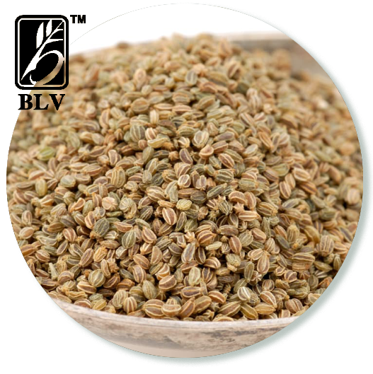 Celery Seeds