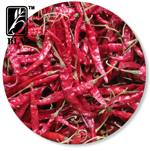 dry red chilli