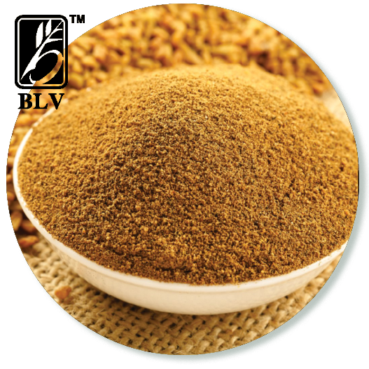 Fenugreek Seeds