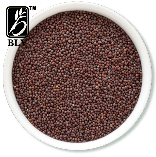 mustard seeds