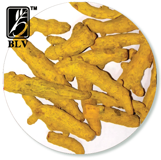 turmeric fingers